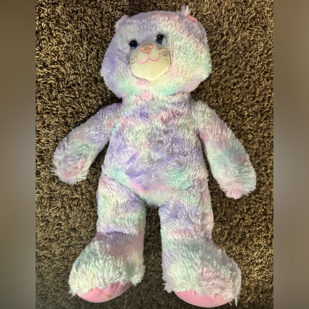 Build a Bear Tie Dye Bear EUC